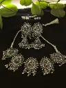 Silver necklace and earrings